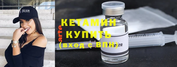 шишки Коряжма