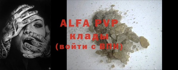 шишки Коряжма