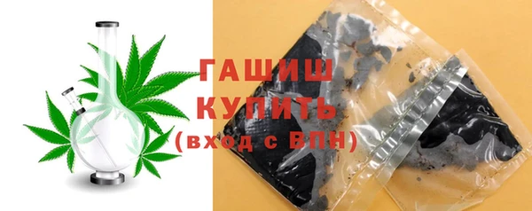 шишки Коряжма