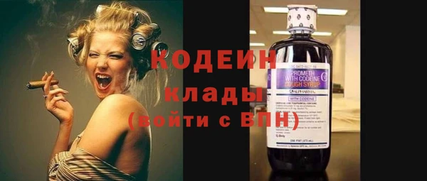 шишки Коряжма