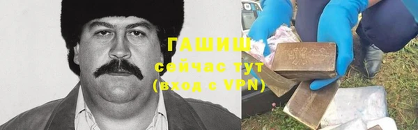 шишки Коряжма