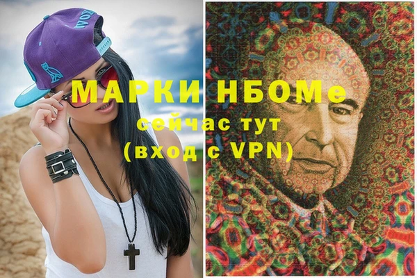 шишки Коряжма